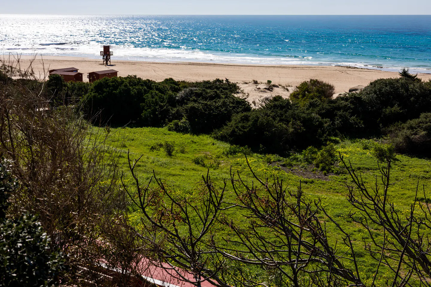 Beach view with green grass, trees, and blue ocean. Lifeguard tower and small buildings on the sand.