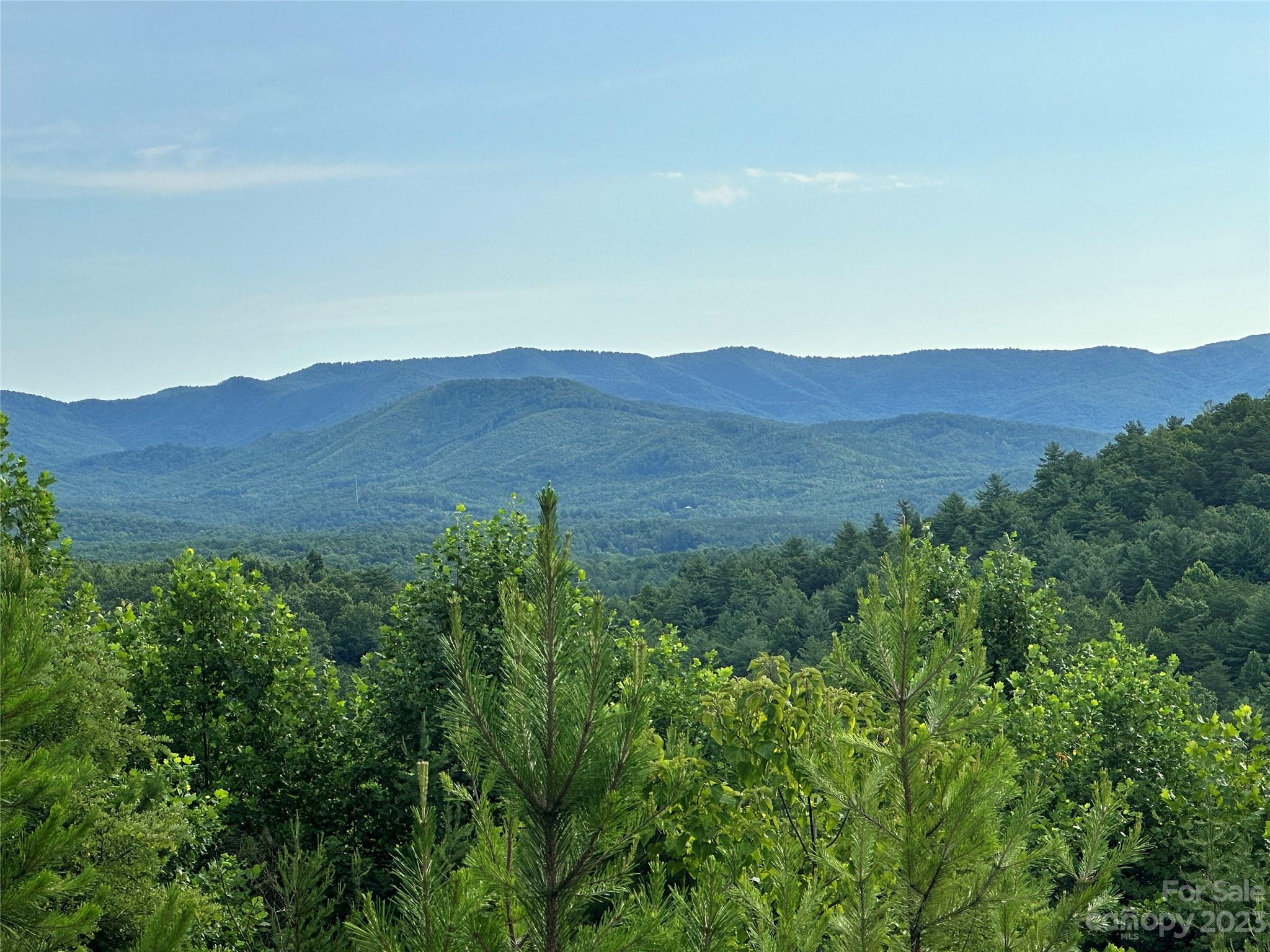 Wooded Homesite in South Mountain Peaks