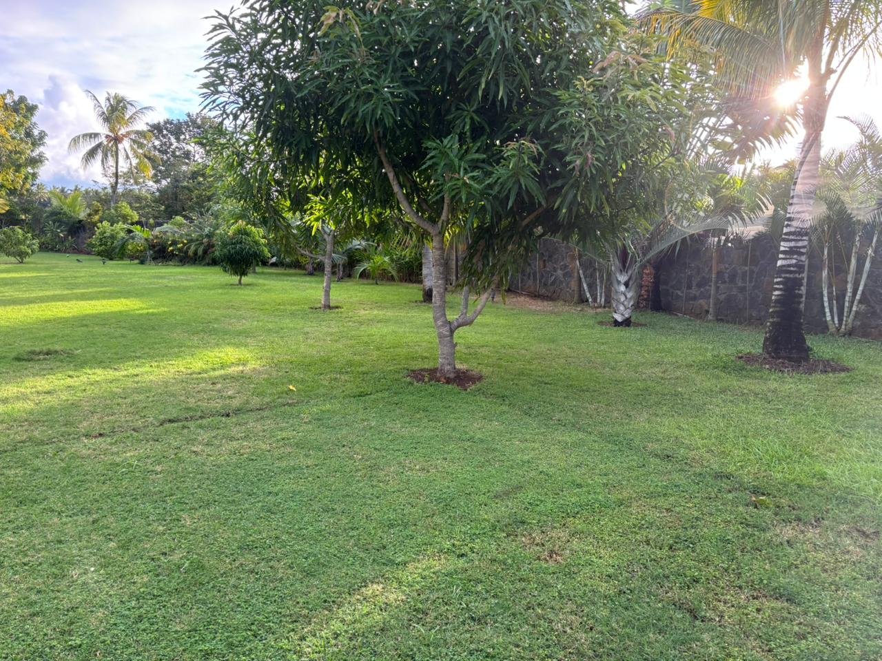 Beautiful 1,160 m² Residential Plot Ready to Build On – Tropical Garden Oasis for Mauritian Citizens