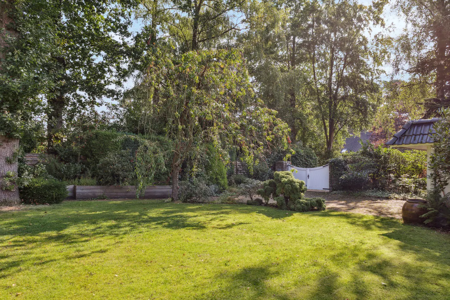 Lush green lawn with trees and shrubs. A white gate is visible in the background.