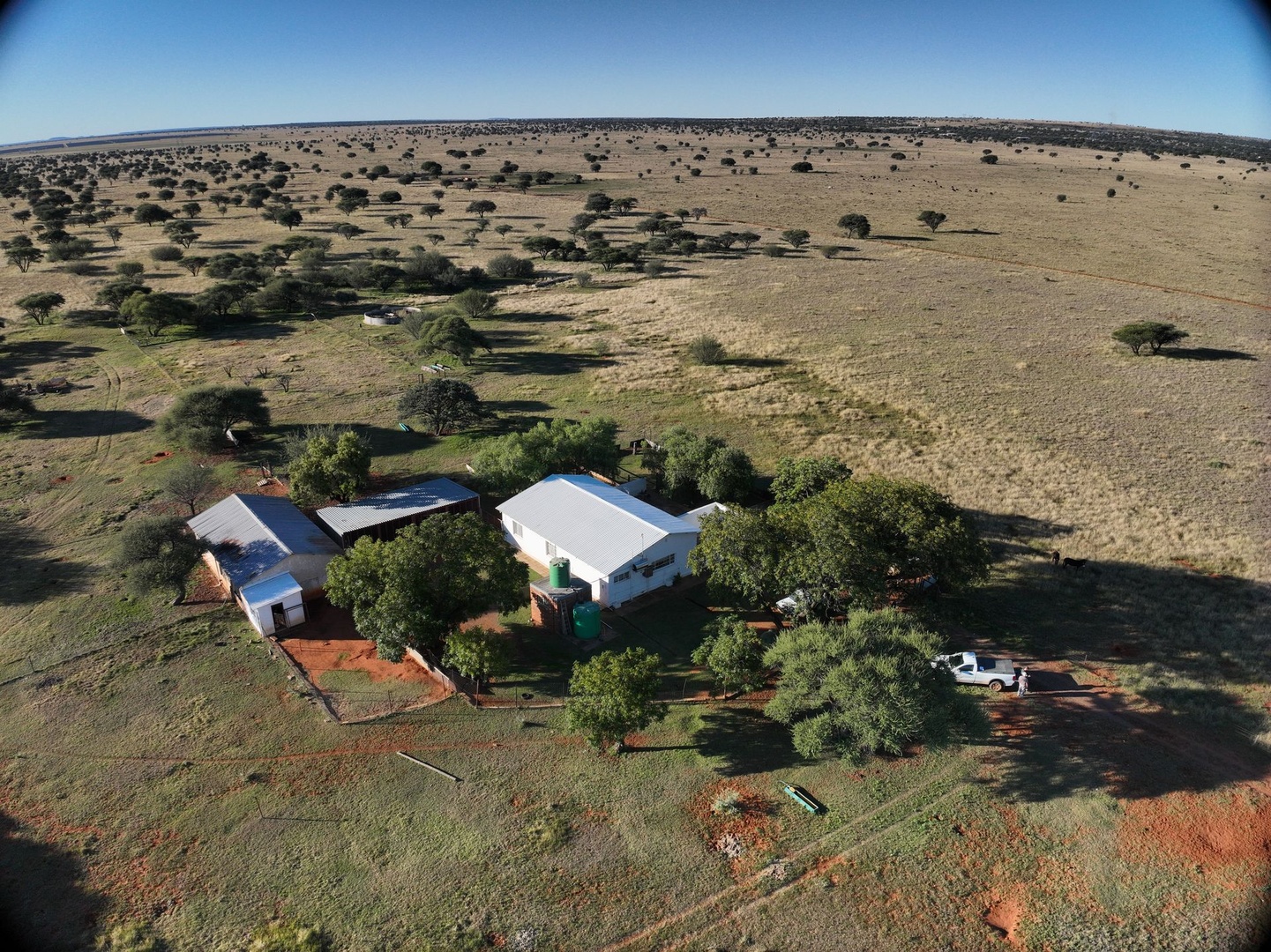 88ha Grazing Farm for Sale – Near Kimberley