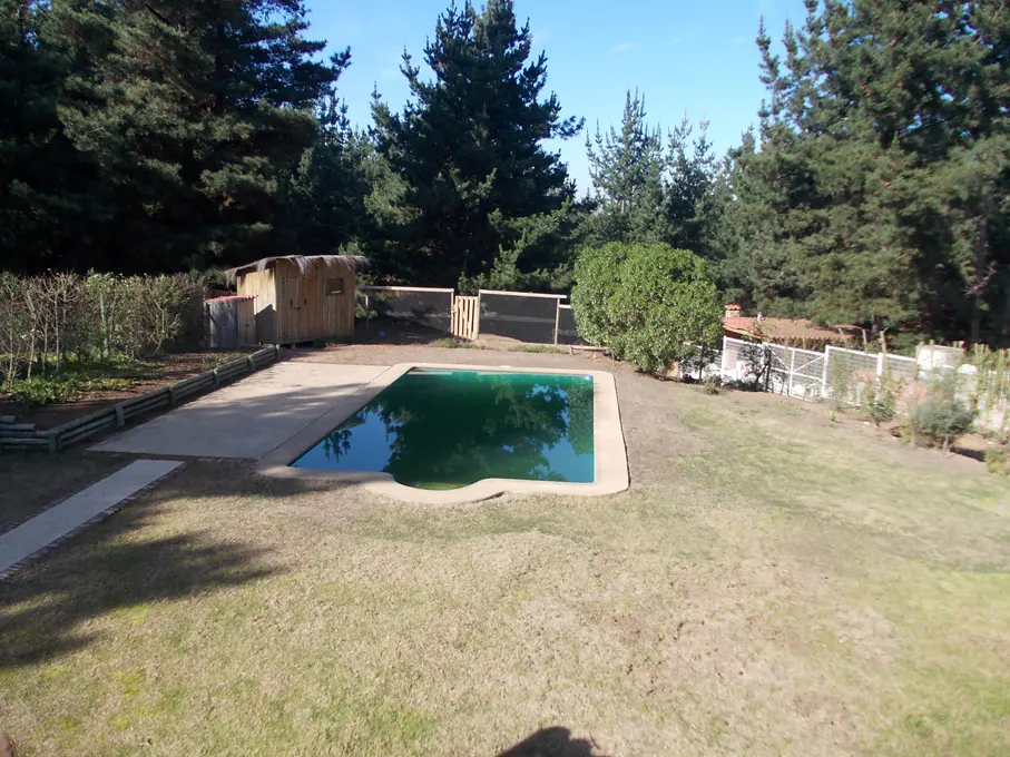 Backyard view of a green pool, surrounded by grass, trees, and a small wooden shed.