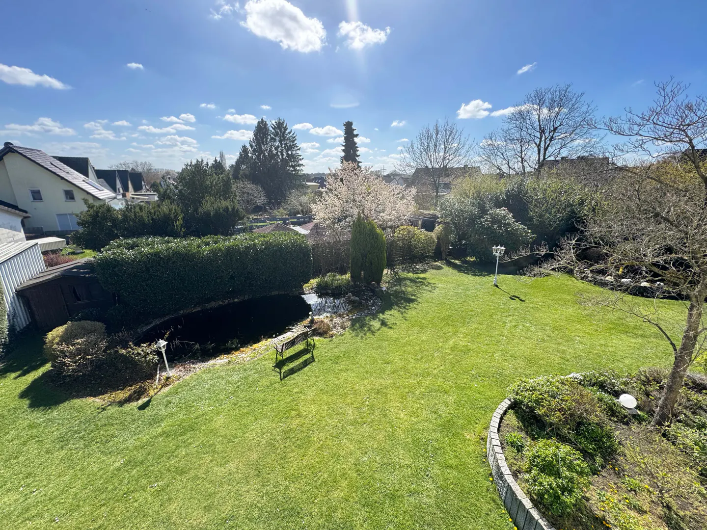 A sunny backyard with a pond, bench, and green lawn. Trees and houses are visible in the background.
