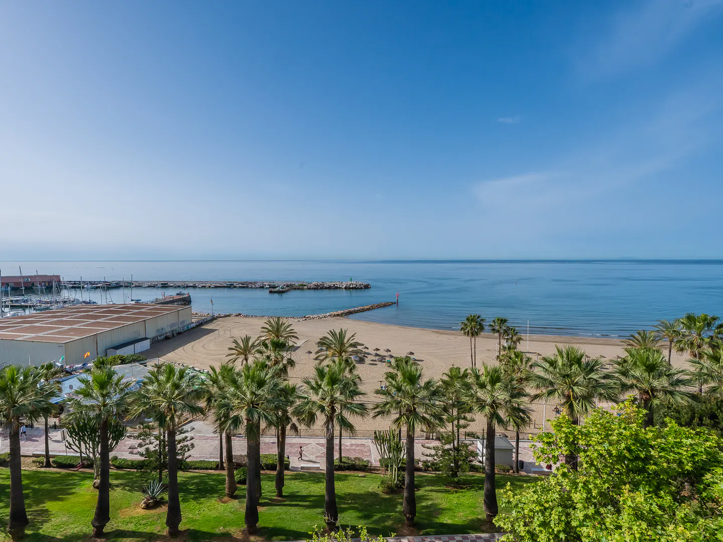 Beach view with palm trees, blue sky, and ocean. A marina is visible in the distance.
