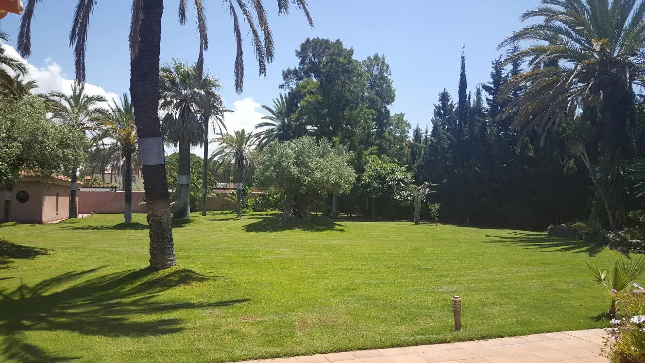 Lush green lawn with palm trees and various trees under a blue sky. A small building is visible on the left.