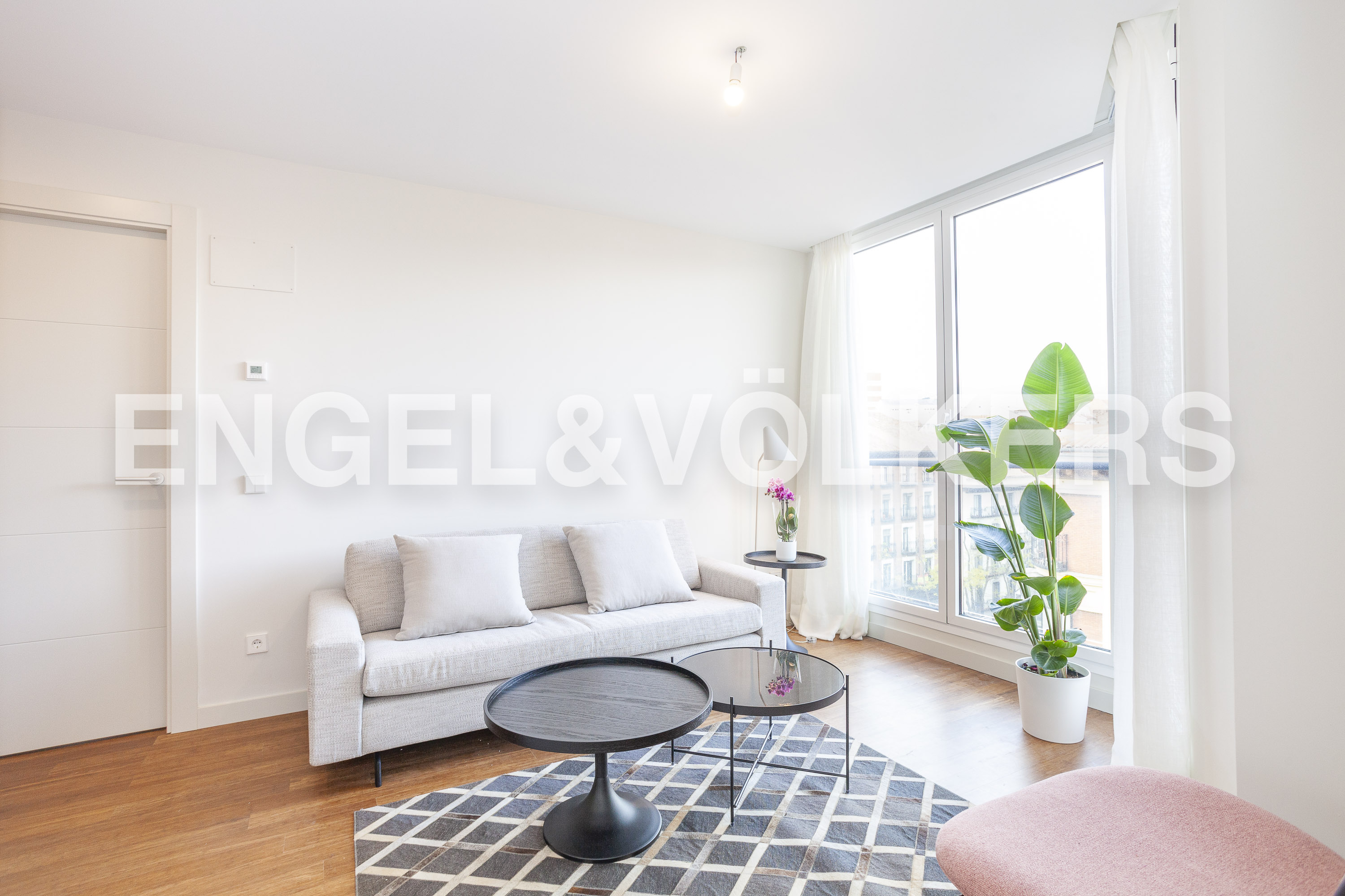 Magnificent brand new property in Trafalgar