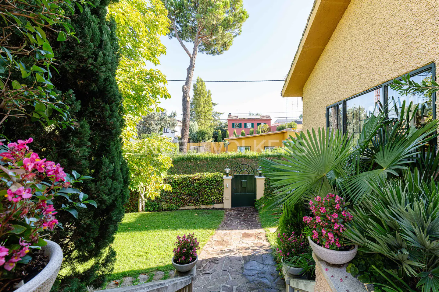 Landscaped garden with stone path leading to a green gate in a tall hedge. Yellow house on the right, flowers in pots, and green trees.