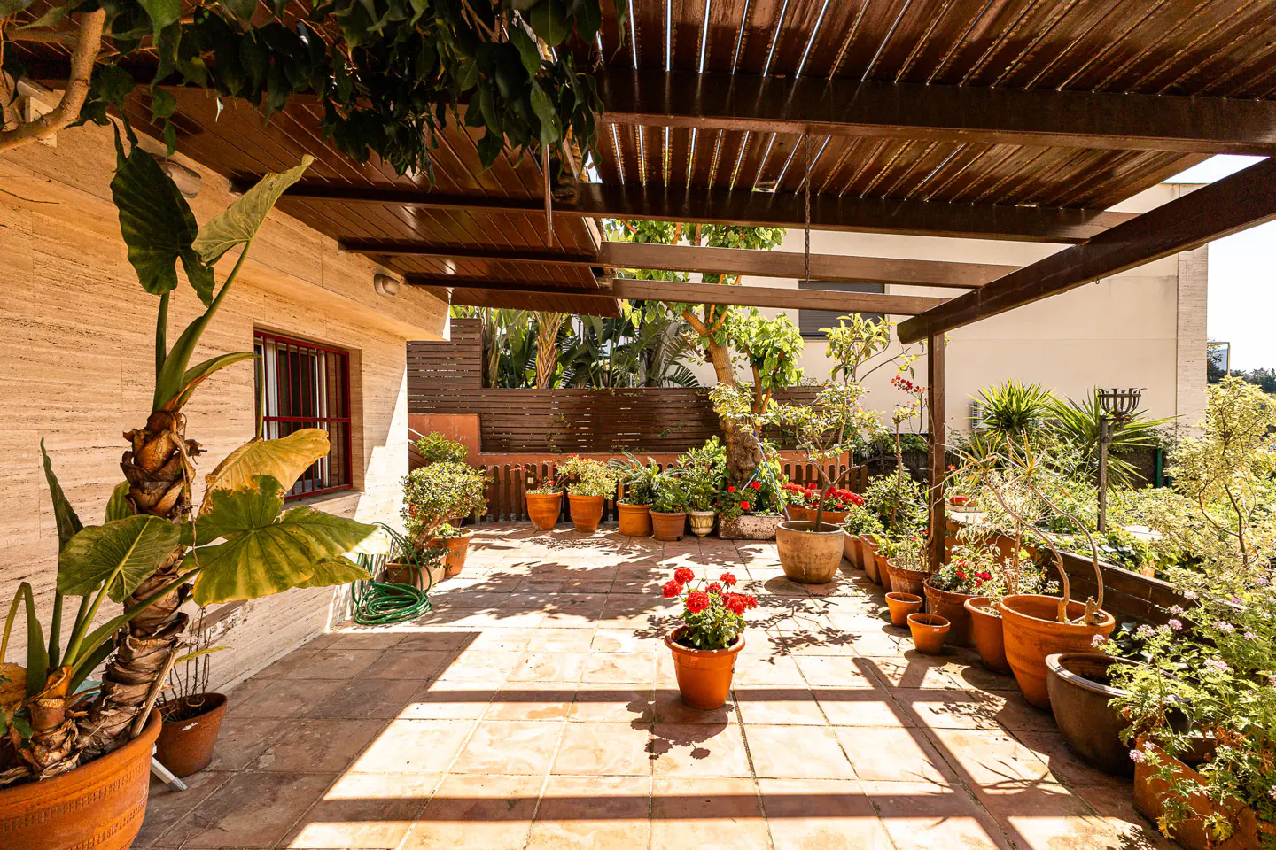 A sun-drenched patio with terracotta tiles, a wooden pergola, and many potted plants.