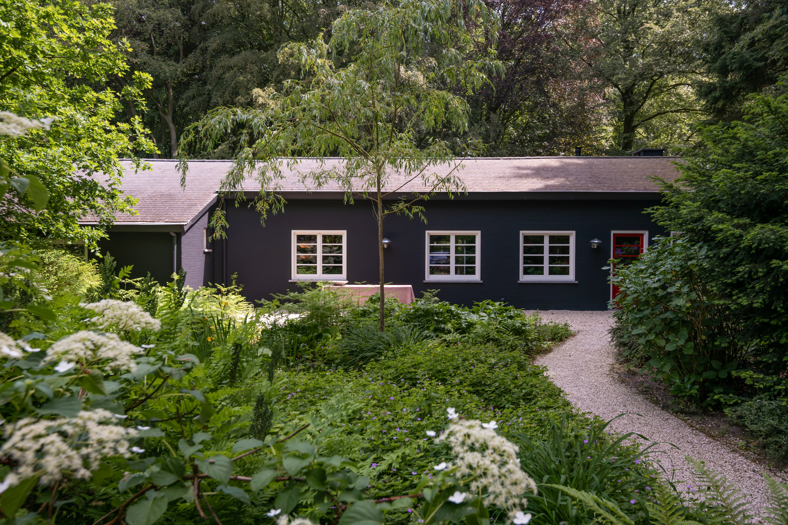 Cabin In The Woods