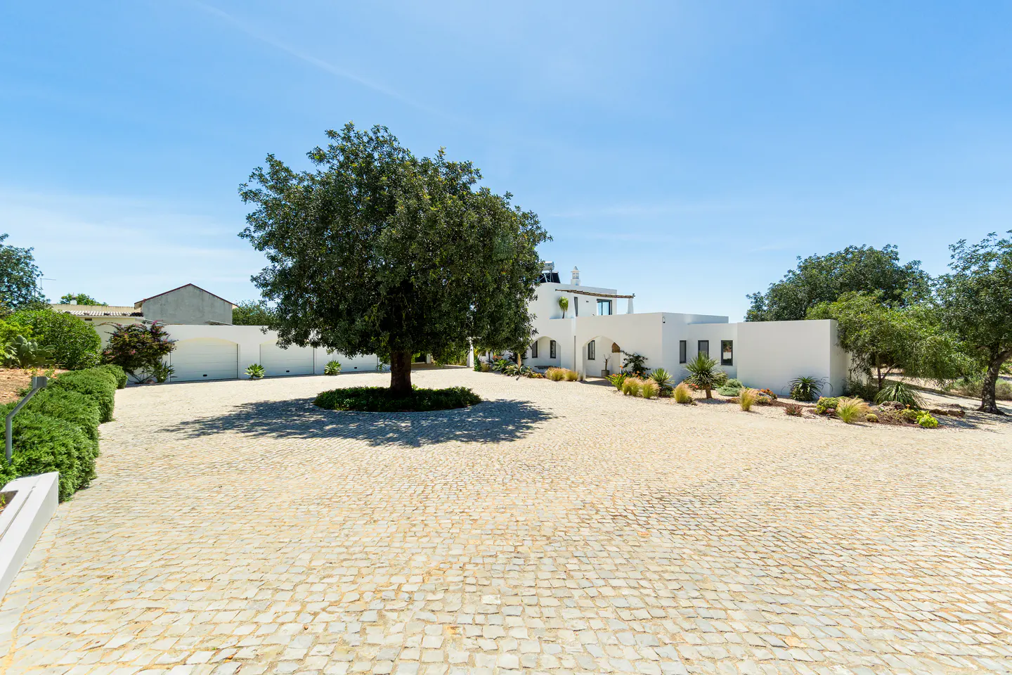 A white modern villa with a large tree in the center of a spacious cobblestone driveway under a clear blue sky.