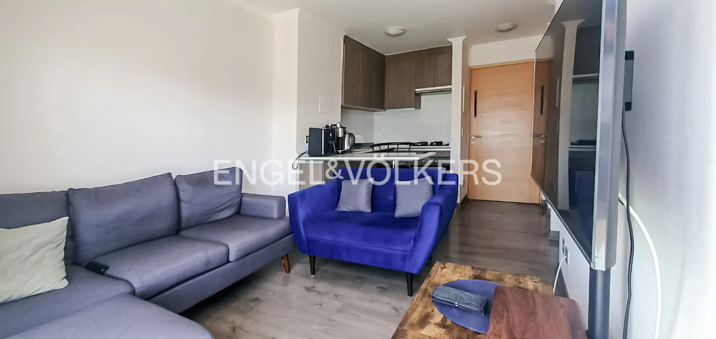 A modern apartment interior with a gray sofa, blue armchair, and a kitchen in the background. A large TV is mounted on the wall.