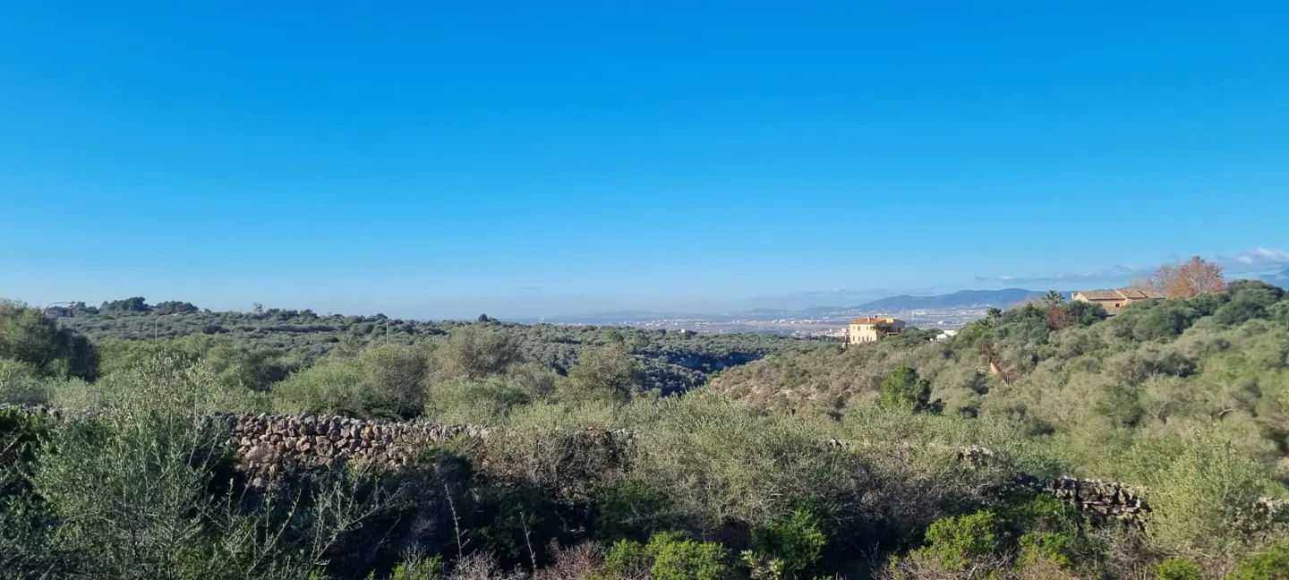 Scenic view of green hills under a clear blue sky, with a stone wall in the foreground and buildings in the distance.