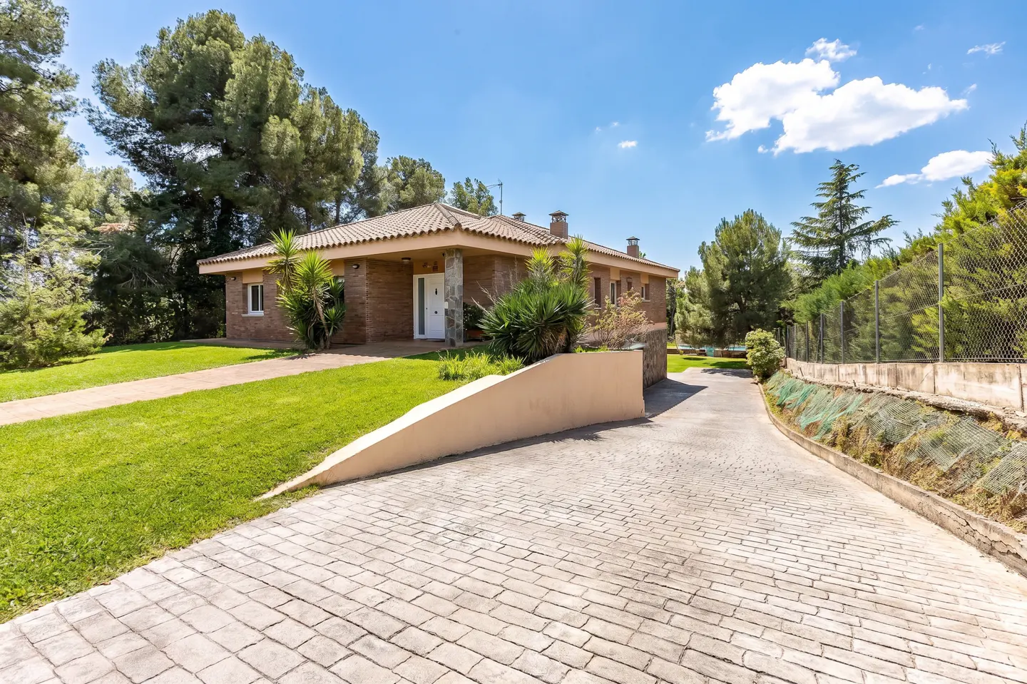 [AI-generated photo]