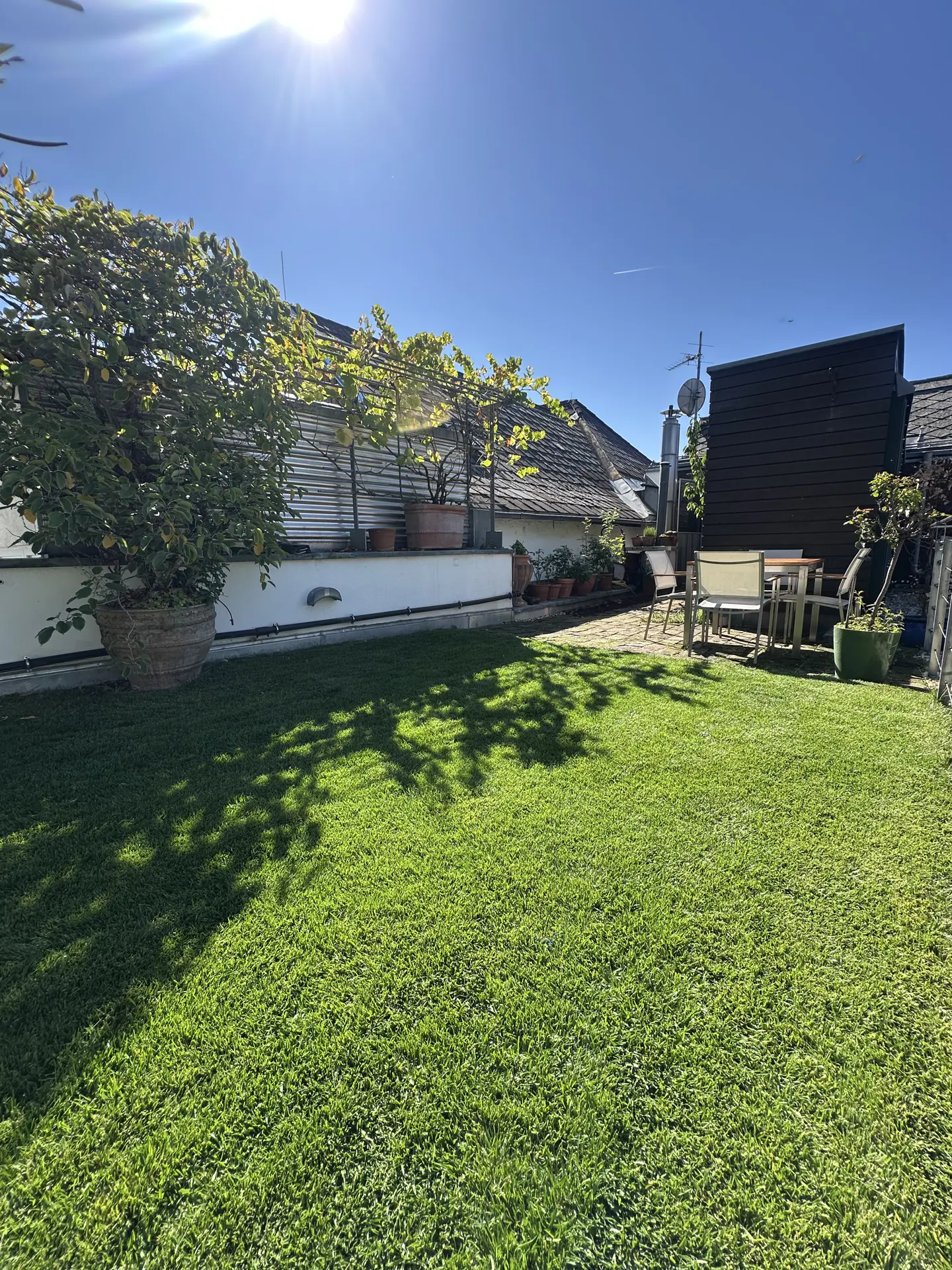 A sunny backyard with green grass, a patio set, and potted plants.