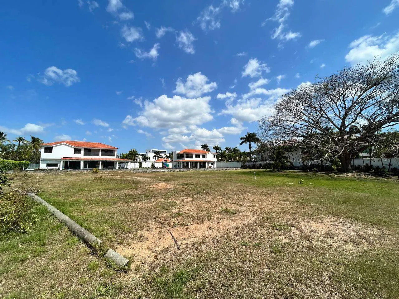 A vacant lot with dry grass, two white houses with orange roofs, and a large tree under a blue sky.