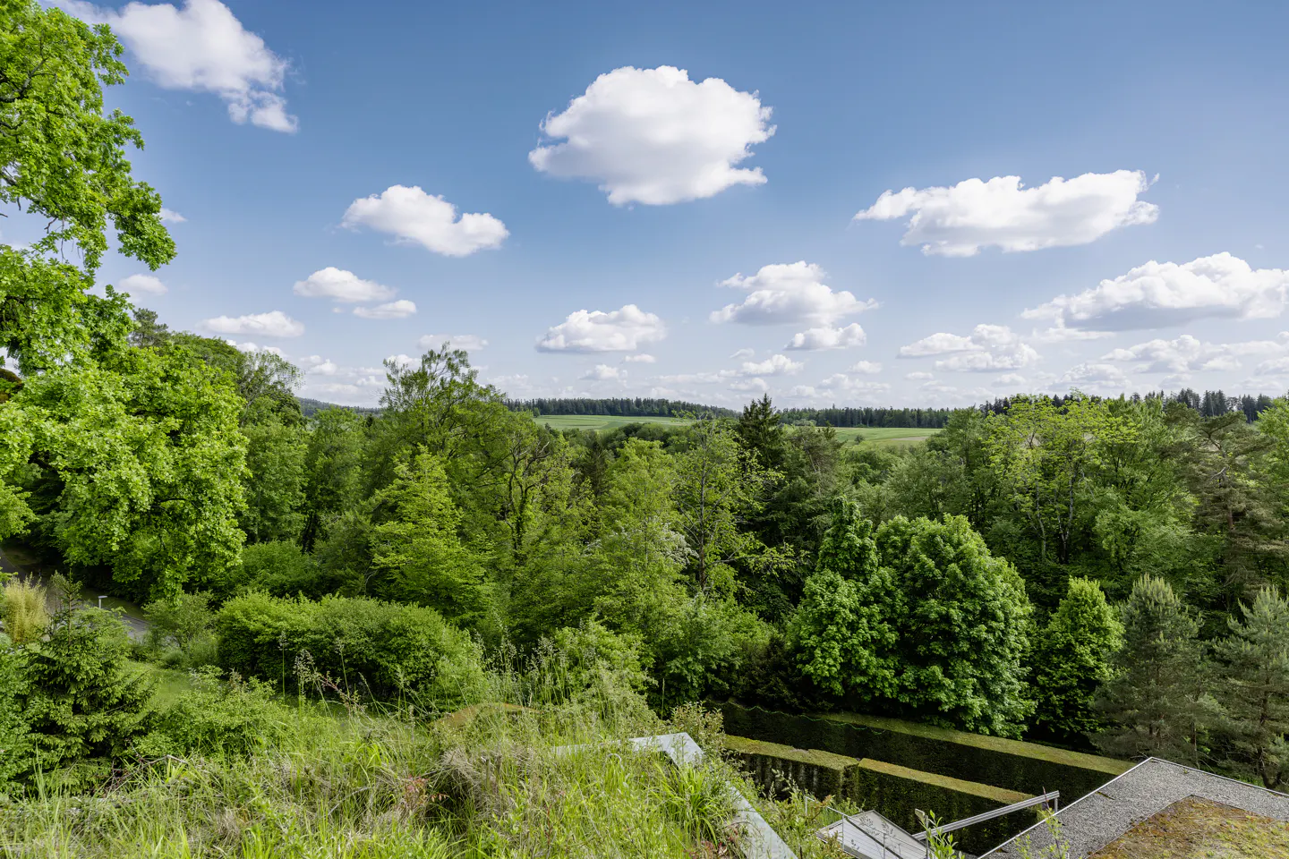 Scenic view of lush green trees and fields under a blue sky with fluffy white clouds.