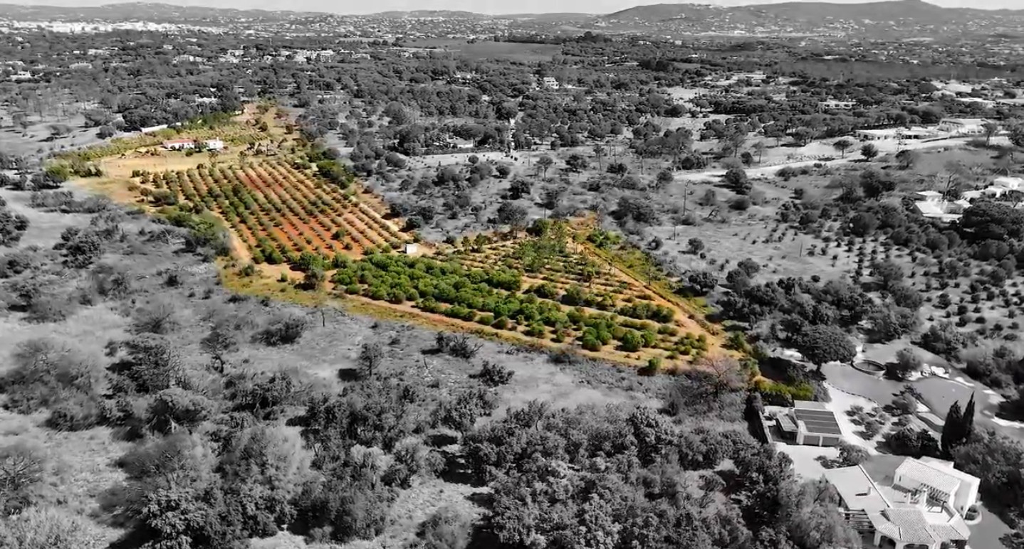 Baugrundstück von ca. 5 Hektar | Eines der letzten Verfügbaren in der Nähe von Quinta do Lago