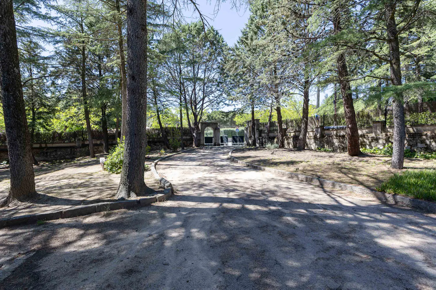 A gravel driveway leads to a stone wall and gate, surrounded by tall trees casting shadows on the ground.