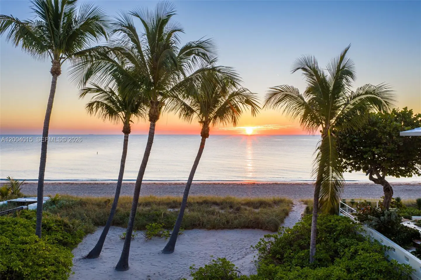 Sunrise over the ocean, viewed through palm trees and beach vegetation.