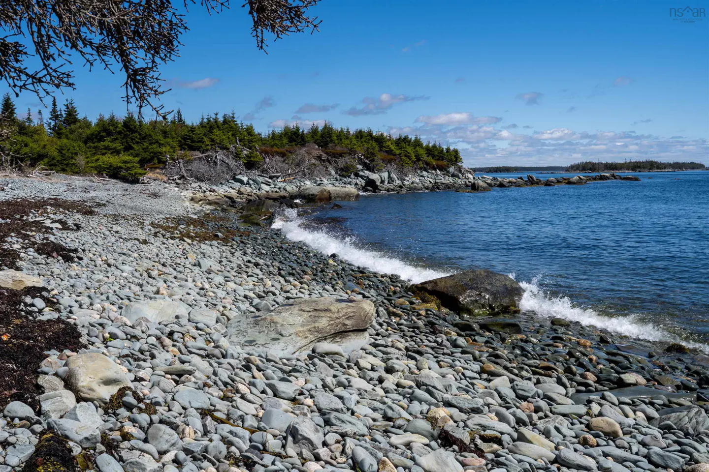 Rocky beach with waves crashing on shore, evergreen trees in the background, blue sky.