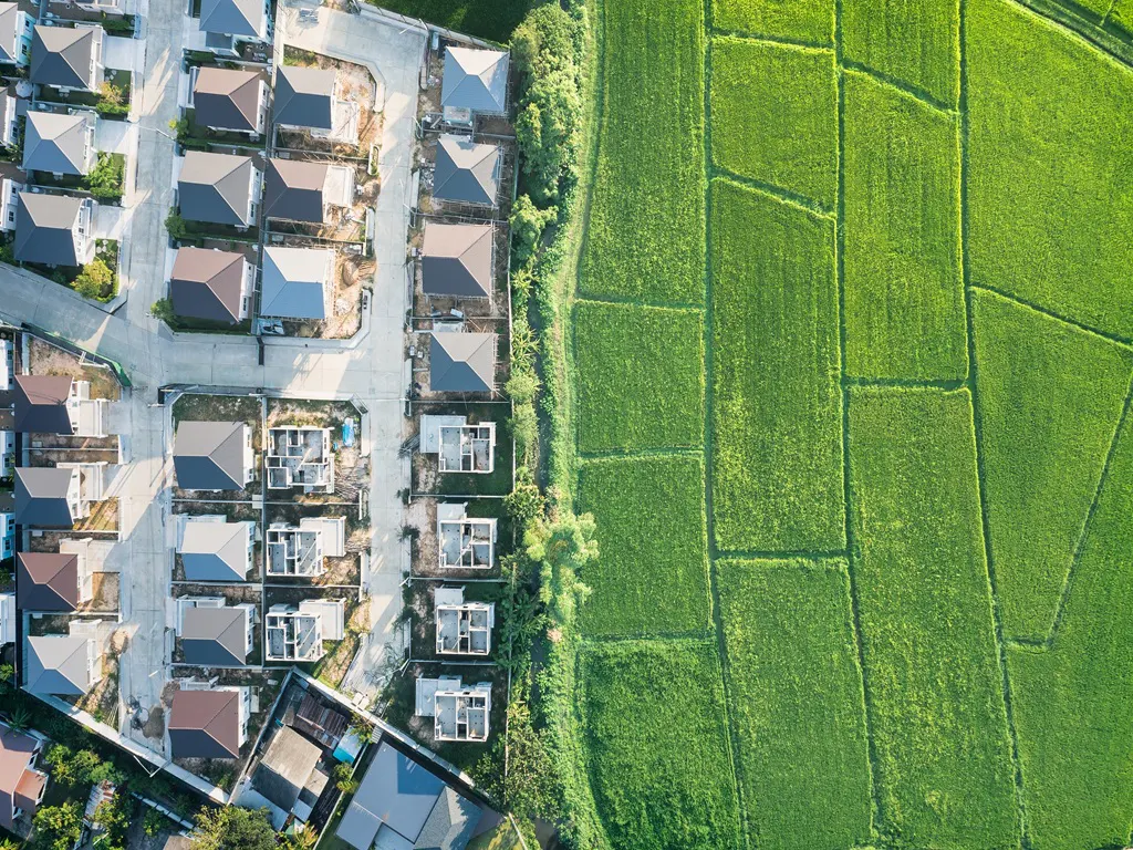 Aerial view of a housing development bordering a vibrant green rice field. Houses have gray roofs.