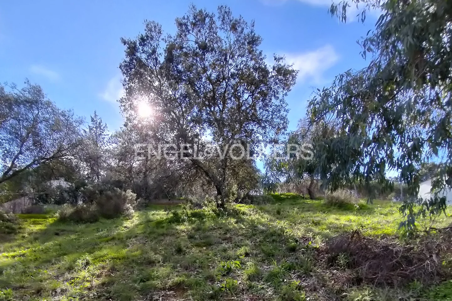 Plot for the house of your dreams with views of nature, half an hour from Sevilla.