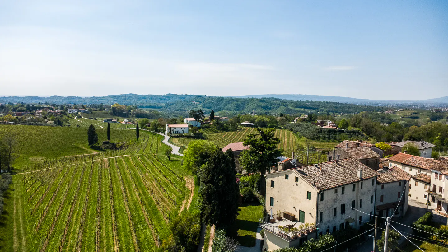 Aerial view of a vineyard in Italy, with rows of green vines, rolling hills, and houses with terracotta roofs under a blue sky.