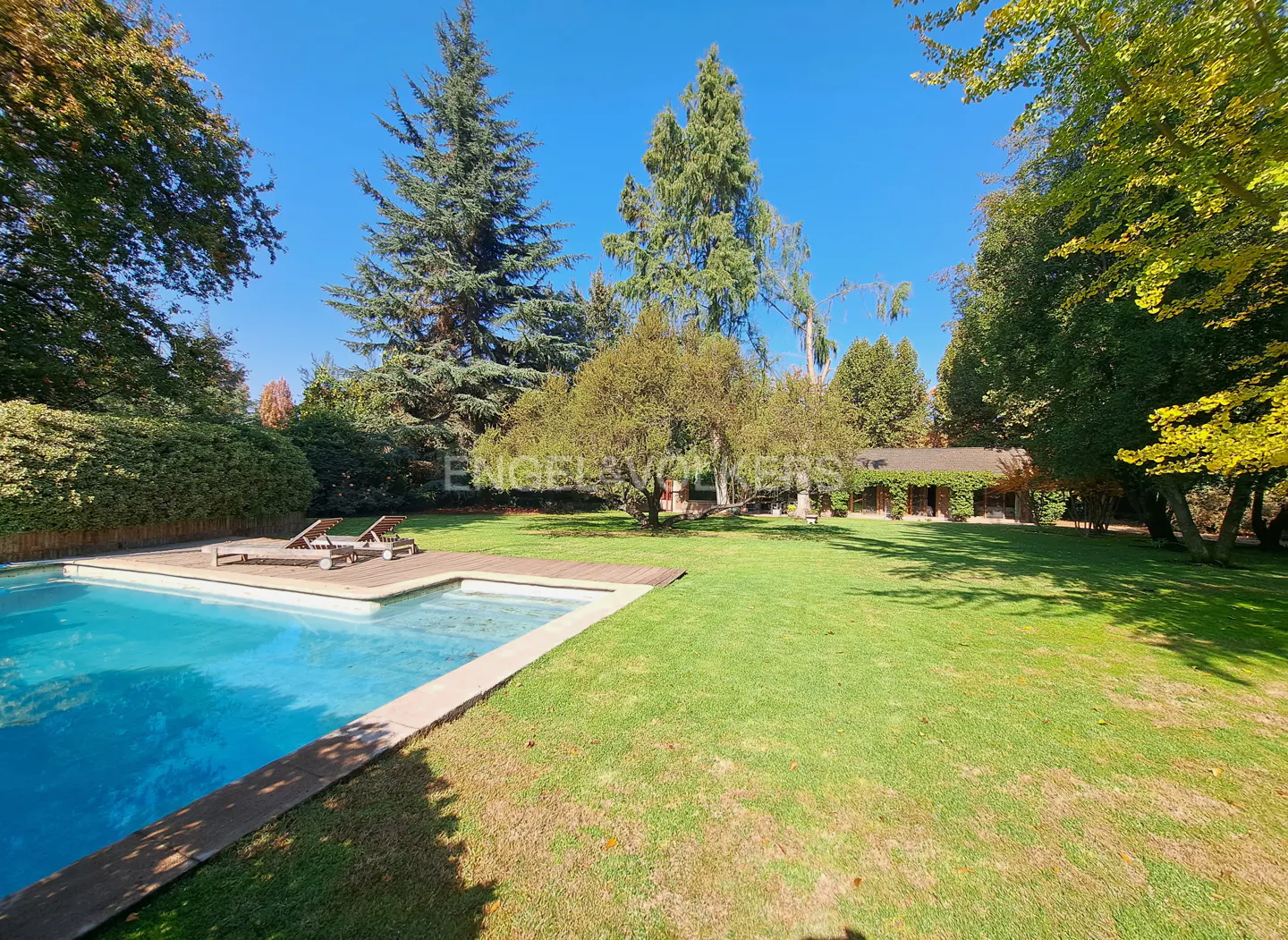 A swimming pool with a wooden deck and lounge chairs sits in a large, sunny backyard surrounded by lush trees and grass.