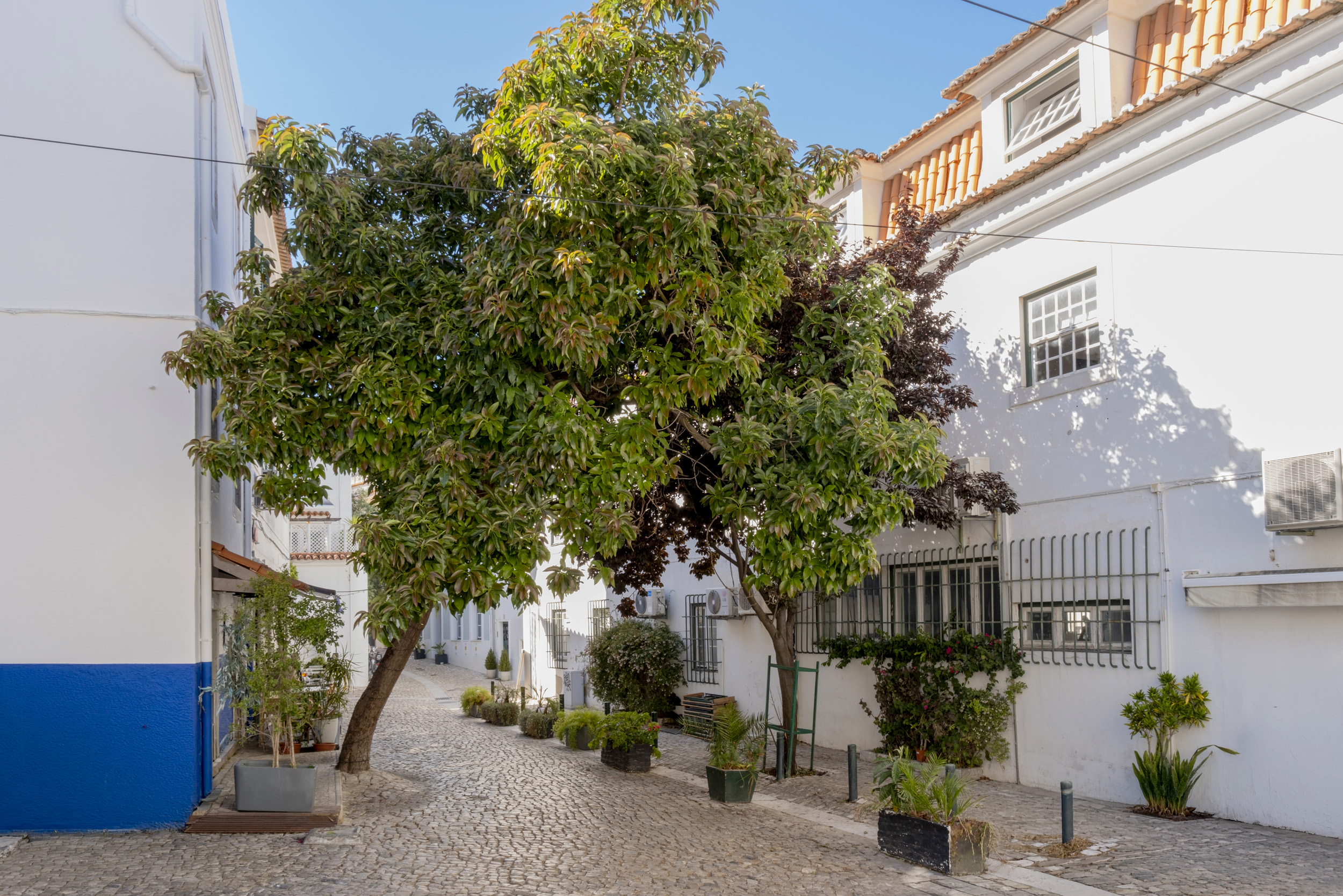 Apartamento T1 | Cascais