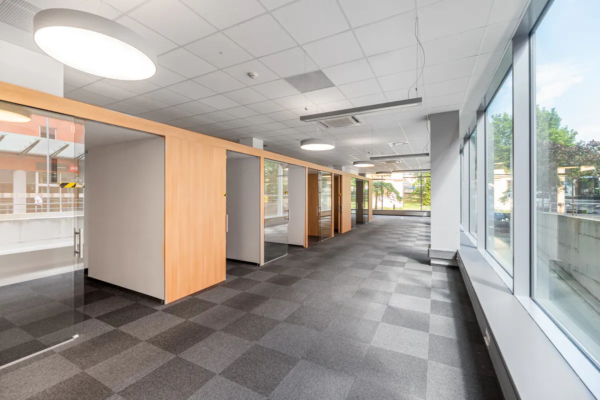 Modern office interior with light wood partitions, glass-walled cubicles, gray checkered carpet, and large windows.