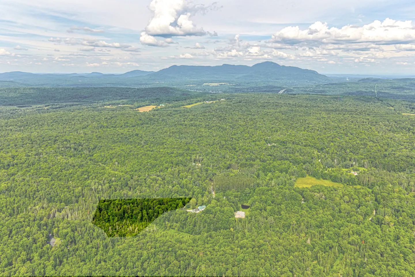 Aerial view of a dense green forest with mountains in the background under a cloudy sky.