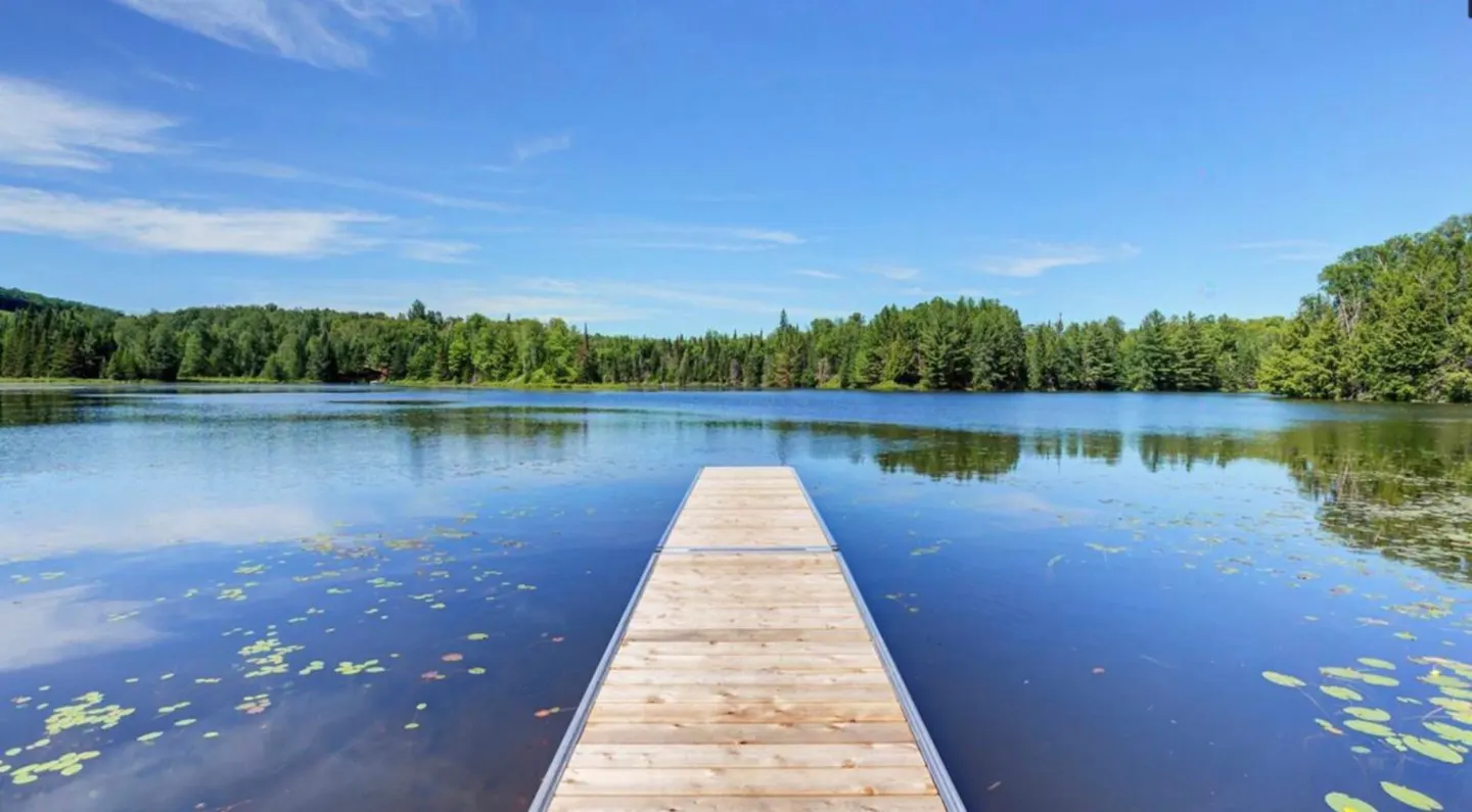 A wooden dock extends into a calm lake, reflecting the blue sky and green trees on the opposite shore. Lily pads dot the water's surface.
