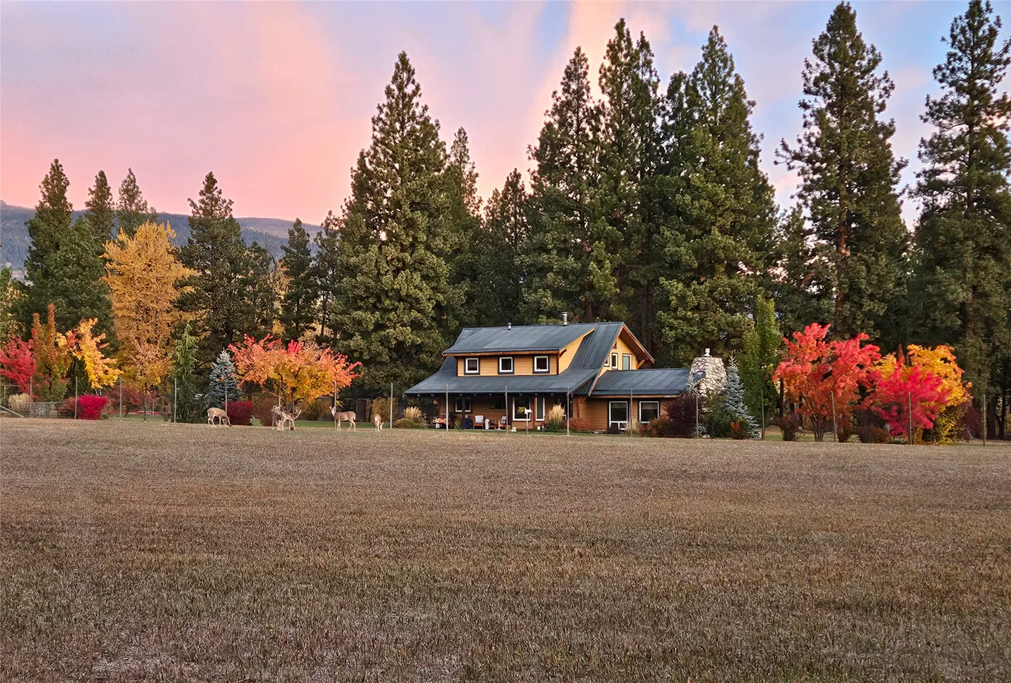 A two-story yellow house with a porch, surrounded by tall trees and colorful autumn foliage. Deer graze in the front yard.