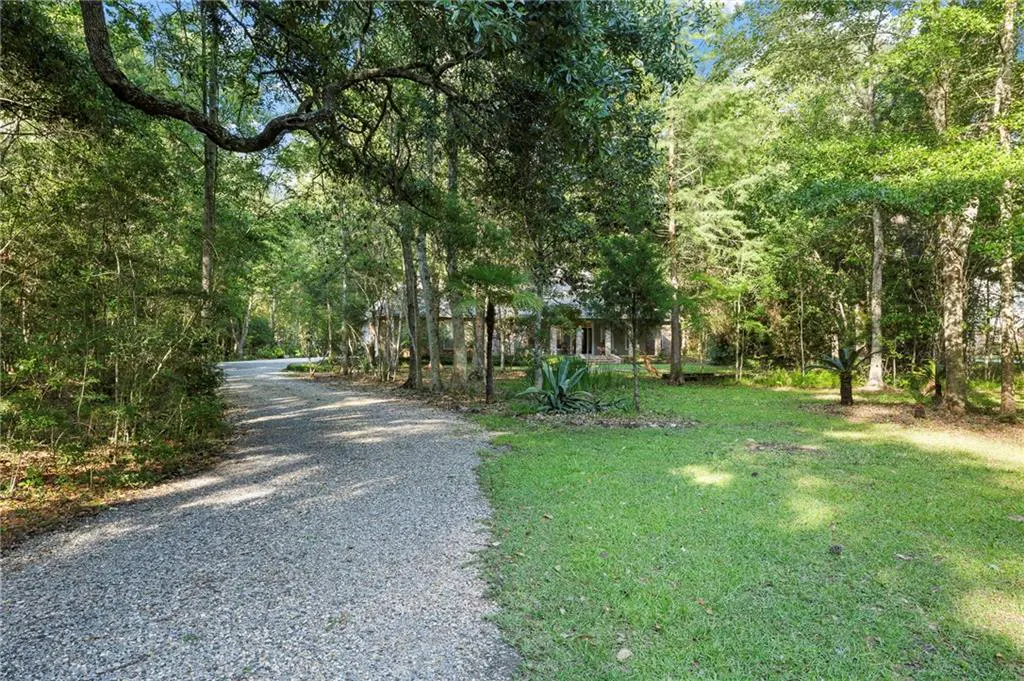 Gravel driveway leading to a house surrounded by green trees and grass.