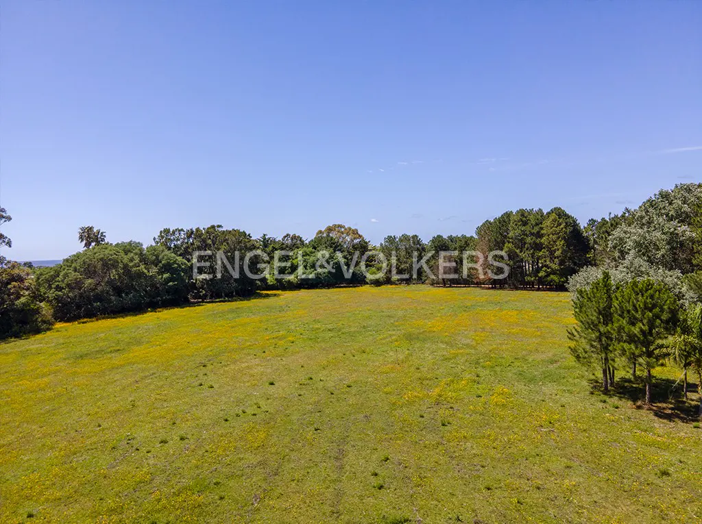Aerial view of a green field with yellow flowers, trees, and a blue sky. Engel & Volkers logo is visible.