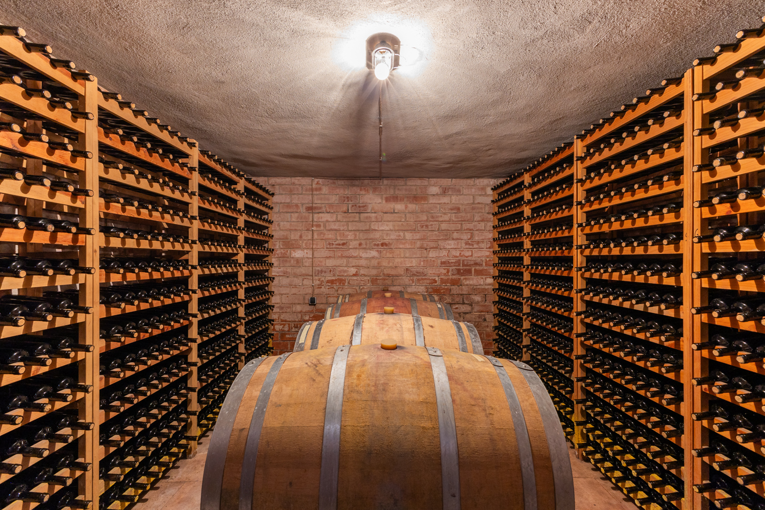 Boutique winery in production in the heart of Utiel-Requena
