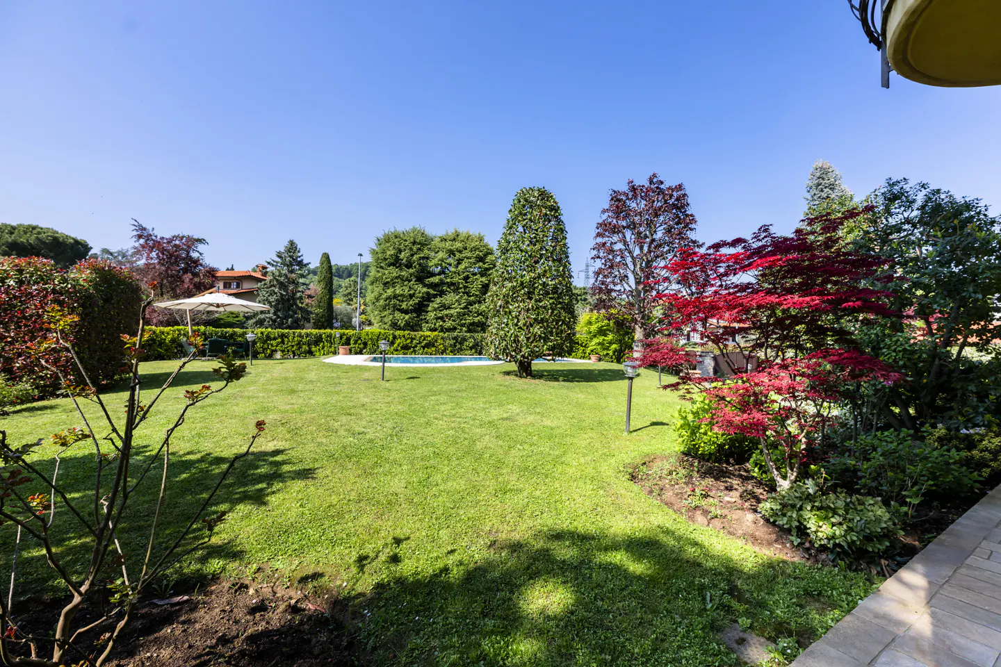 Lush green lawn with trees, shrubs, and a pool in the background under a clear blue sky. A red Japanese maple is on the right.
