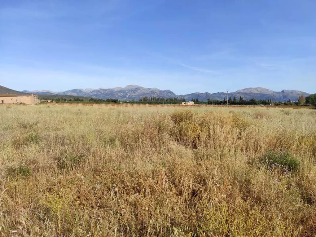 Rustic building plot with mountain view in Llubi