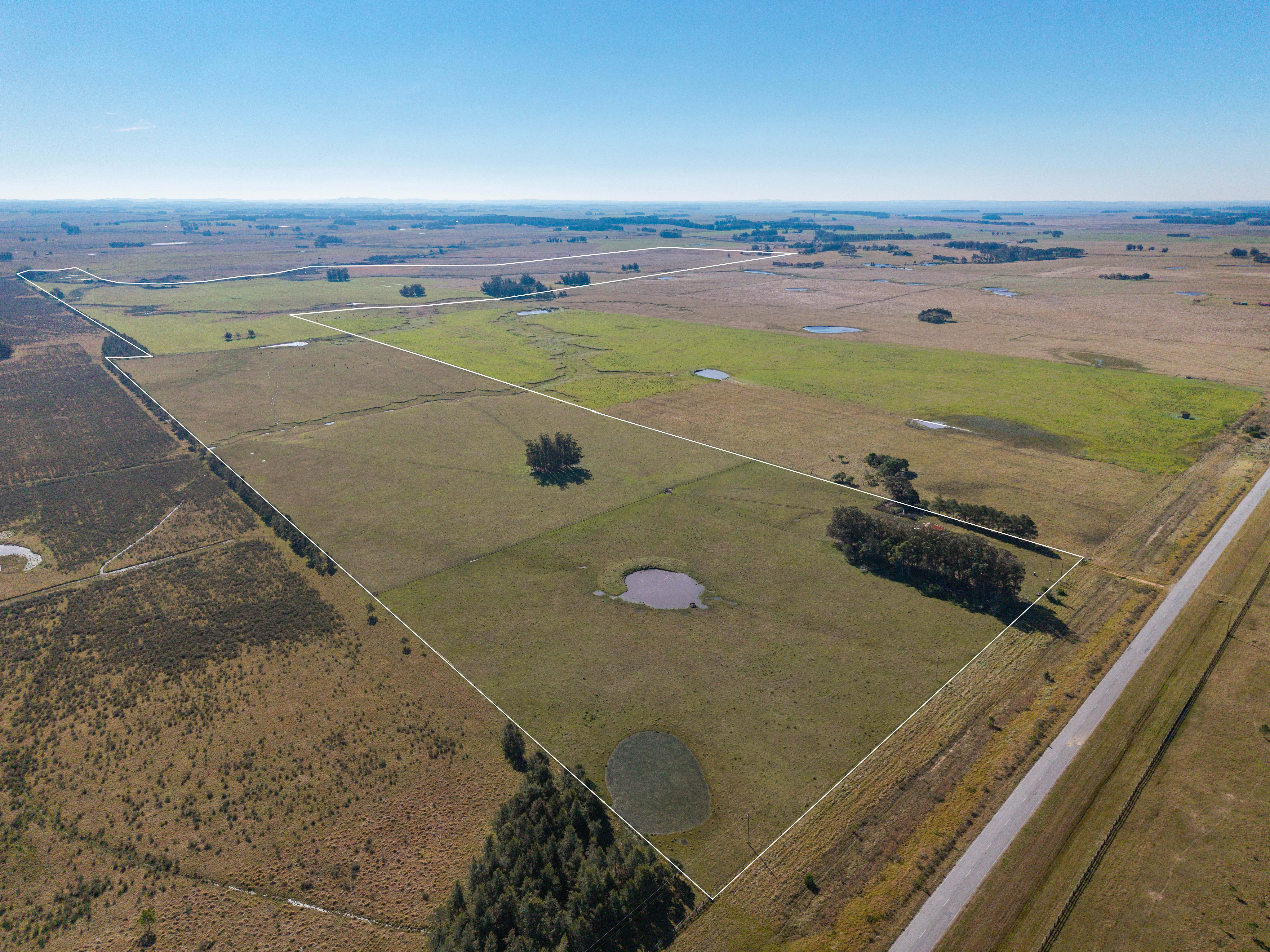130 hectares on Route 10, minutes from José Ignacio