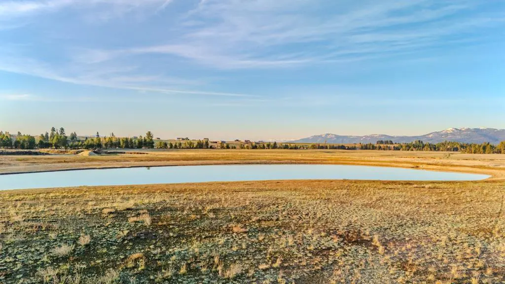 A landscape view of a pond surrounded by a field of dry grass, with mountains in the background under a blue sky.