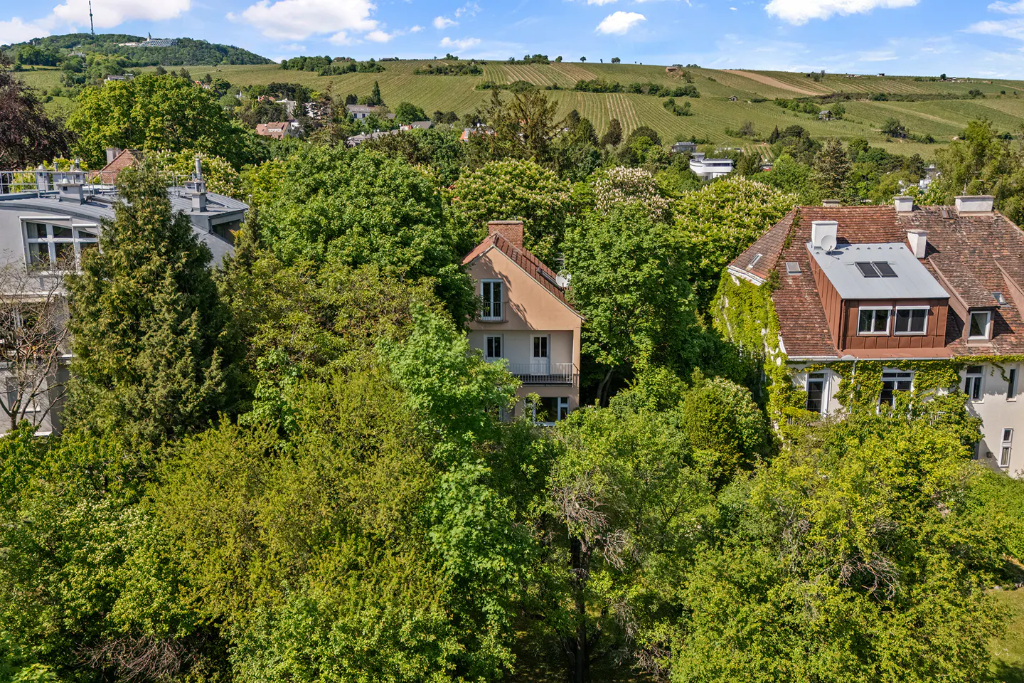 Aerial view of a beige house with a balcony, surrounded by lush green trees and a vineyard-covered hill in the background.
