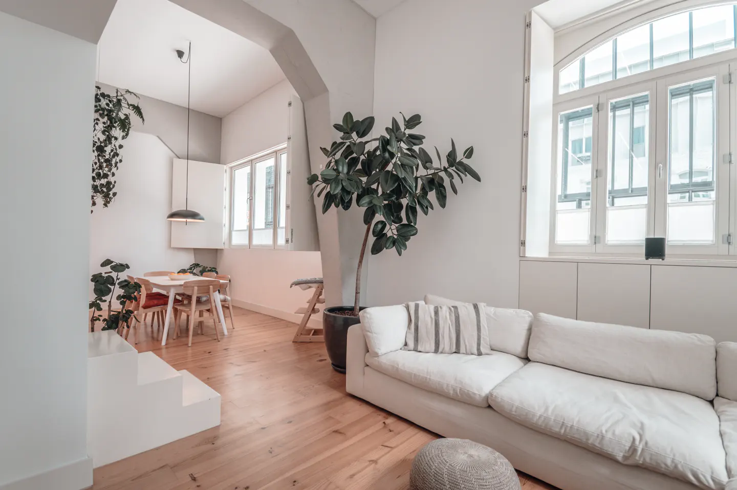 Bright, modern living room with hardwood floors, a white sofa, and a large potted plant near a window. A dining area is visible in the background.
