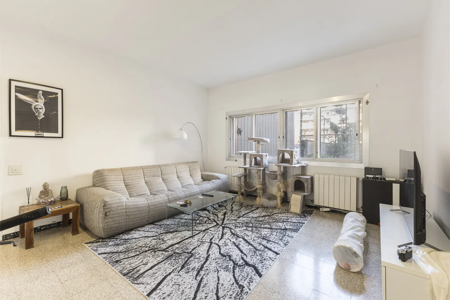 Bright living room with a beige sofa, glass table, and a black and white tree-ring patterned rug. A cat tree stands near the window.