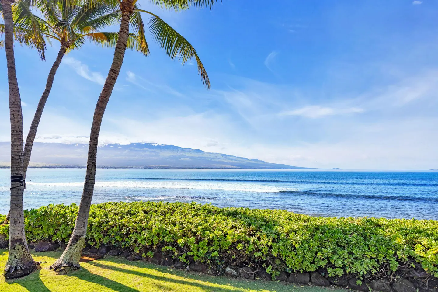 Palm trees frame a view of the blue ocean, a lush green hedge, and distant mountains under a bright, sunny sky.