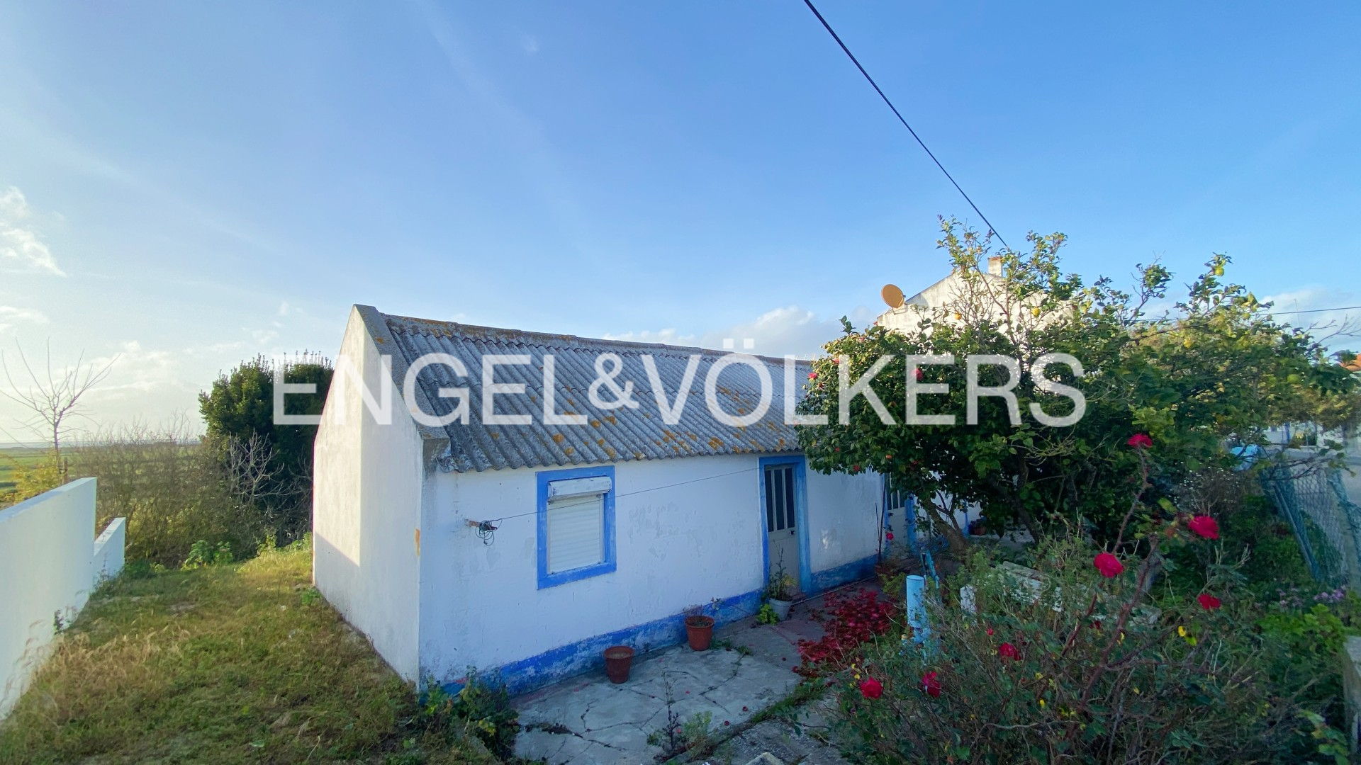 Plot with rice field view in Comporta