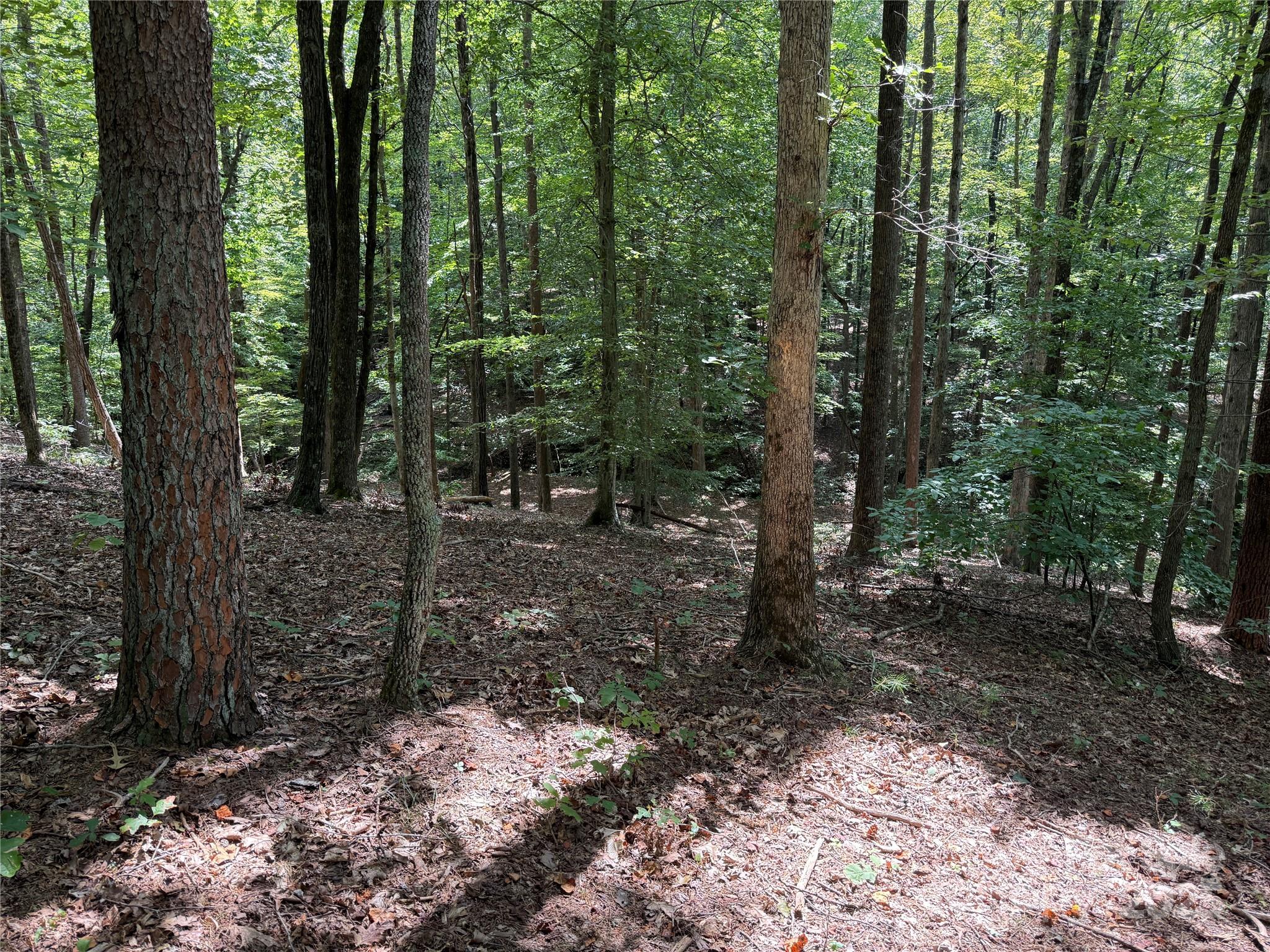 7.4 Acre Lot in Gated Grandview Peaks Community