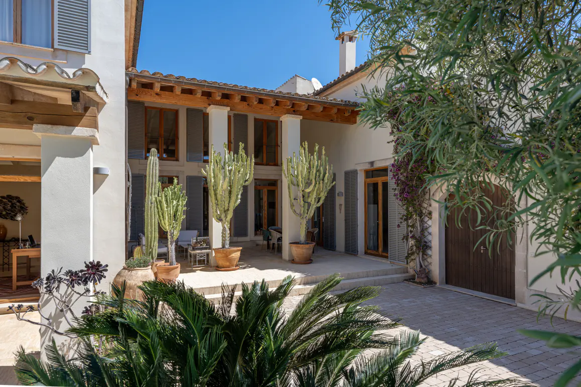 Sunny Mediterranean courtyard with white walls, wooden beams, large potted cacti, and a paved patio under a clear blue sky.