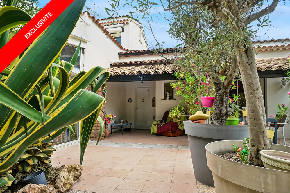A tiled patio area with a large agave plant, potted olive tree, and a covered porch with a white door and seating.