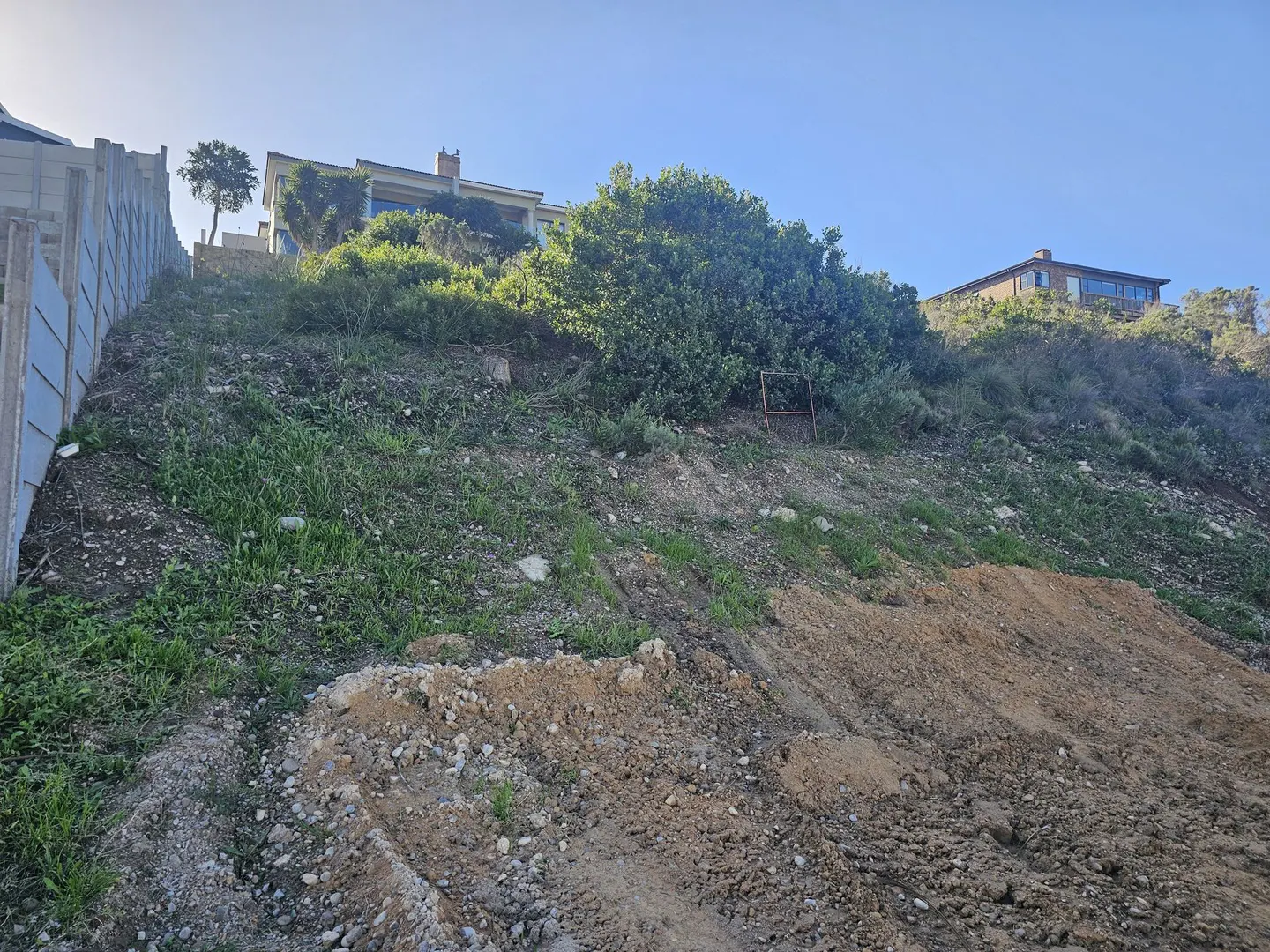 20260515_145640.jpg