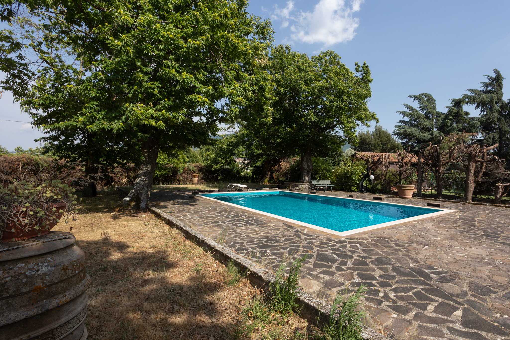 Farmhouse with pool and chestnut grove on the slopes of Mount Amiata